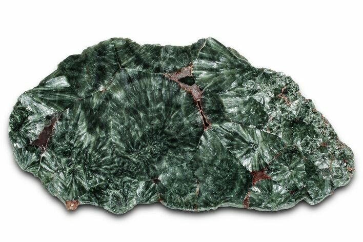 Polished Seraphinite Slab - Korshunovkiy Mine, Siberia #354237